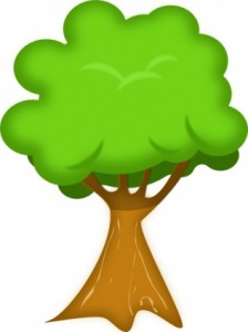 Baum